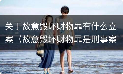 关于故意毁坏财物罪有什么立案（故意毁坏财物罪是刑事案件吗）