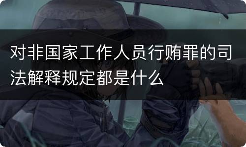 对非国家工作人员行贿罪的司法解释规定都是什么