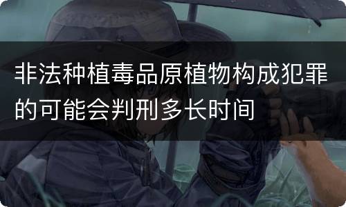 非法种植毒品原植物构成犯罪的可能会判刑多长时间