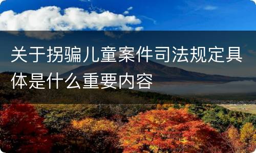 关于拐骗儿童案件司法规定具体是什么重要内容