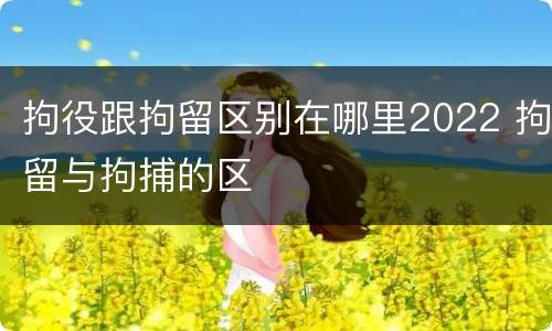 拘役跟拘留区别在哪里2022 拘留与拘捕的区