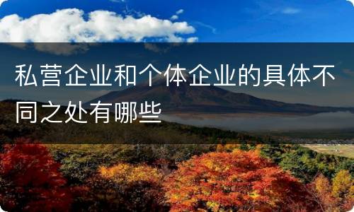私营企业和个体企业的具体不同之处有哪些