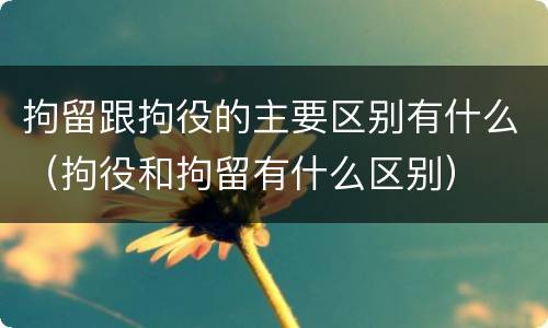 拘留跟拘役的主要区别有什么（拘役和拘留有什么区别）