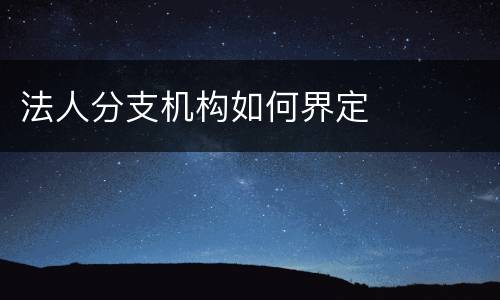 法人分支机构如何界定