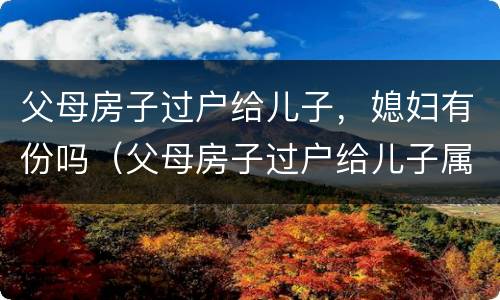 父母房子过户给儿子，媳妇有份吗（父母房子过户给儿子属于夫妻财产吗）