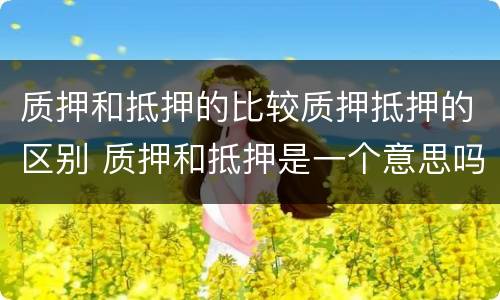 质押和抵押的比较质押抵押的区别 质押和抵押是一个意思吗