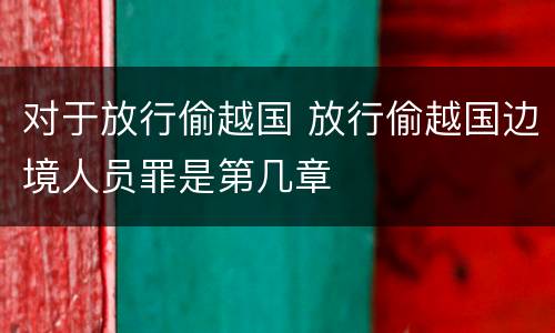 对于放行偷越国 放行偷越国边境人员罪是第几章