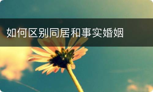 如何区别同居和事实婚姻