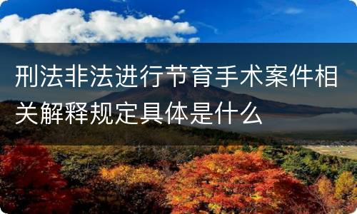刑法非法进行节育手术案件相关解释规定具体是什么