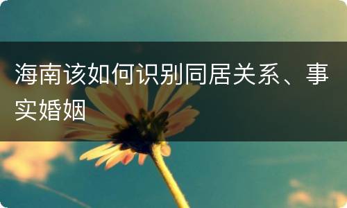 海南该如何识别同居关系、事实婚姻