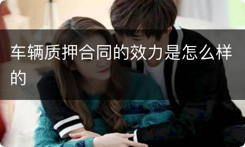 车辆质押合同的效力是怎么样的