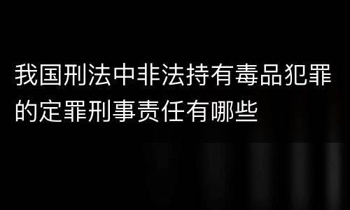 我国刑法中非法持有毒品犯罪的定罪刑事责任有哪些