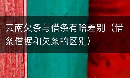 云南欠条与借条有啥差别（借条借据和欠条的区别）