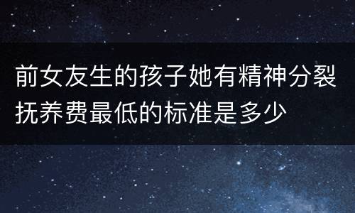 前女友生的孩子她有精神分裂抚养费最低的标准是多少