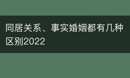 同居关系、事实婚姻都有几种区别2022
