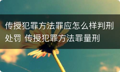 传授犯罪方法罪应怎么样判刑处罚 传授犯罪方法罪量刑