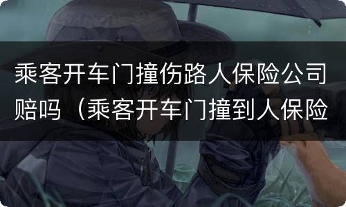 乘客开车门撞伤路人保险公司赔吗（乘客开车门撞到人保险赔吗）
