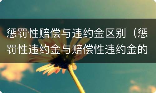惩罚性赔偿与违约金区别（惩罚性违约金与赔偿性违约金的区别）