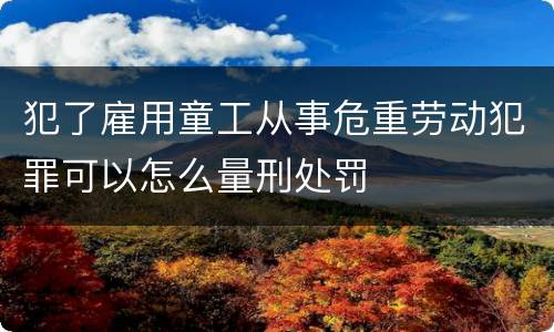 犯了雇用童工从事危重劳动犯罪可以怎么量刑处罚