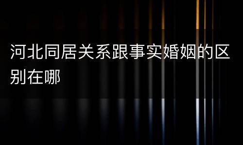 河北同居关系跟事实婚姻的区别在哪
