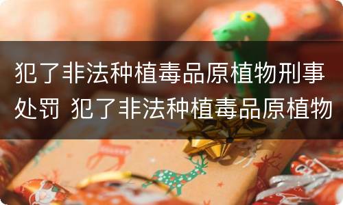 犯了非法种植毒品原植物刑事处罚 犯了非法种植毒品原植物刑事处罚依据