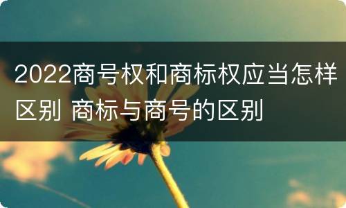 2022商号权和商标权应当怎样区别 商标与商号的区别