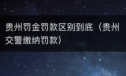 贵州罚金罚款区别到底（贵州交警缴纳罚款）