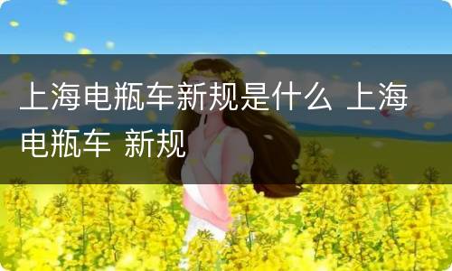 上海电瓶车新规是什么 上海 电瓶车 新规