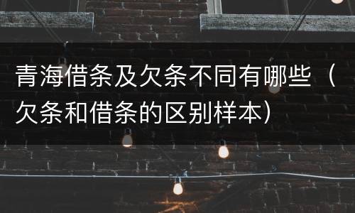 青海借条及欠条不同有哪些（欠条和借条的区别样本）