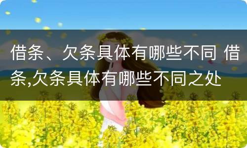 借条、欠条具体有哪些不同 借条,欠条具体有哪些不同之处