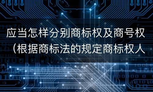 应当怎样分别商标权及商号权（根据商标法的规定商标权人对其注册商标的使用范围）