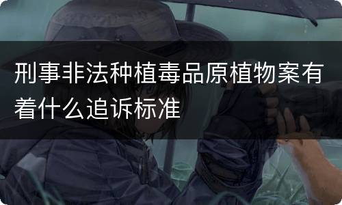刑事非法种植毒品原植物案有着什么追诉标准