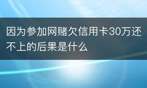 因为参加网赌欠信用卡30万还不上的后果是什么