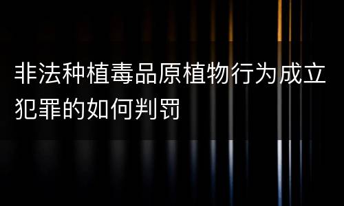 非法种植毒品原植物行为成立犯罪的如何判罚