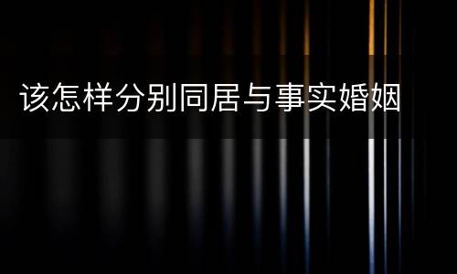 该怎样分别同居与事实婚姻