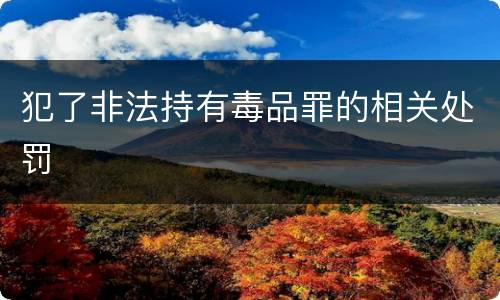 犯了非法持有毒品罪的相关处罚