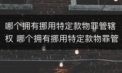 哪个拥有挪用特定款物罪管辖权 哪个拥有挪用特定款物罪管辖权的机关