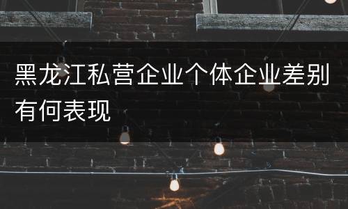 黑龙江私营企业个体企业差别有何表现