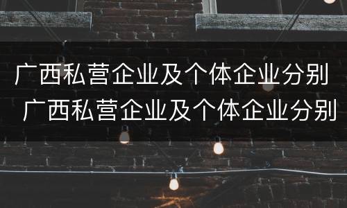 广西私营企业及个体企业分别 广西私营企业及个体企业分别有哪些