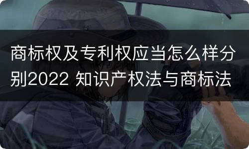 商标权及专利权应当怎么样分别2022 知识产权法与商标法