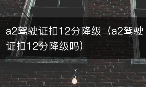a2驾驶证扣12分降级（a2驾驶证扣12分降级吗）