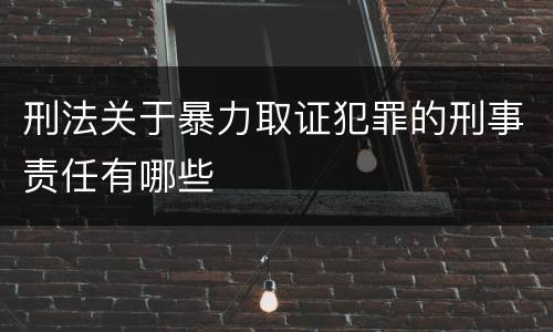 刑法关于暴力取证犯罪的刑事责任有哪些
