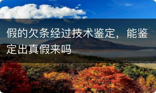 假的欠条经过技术鉴定，能鉴定出真假来吗
