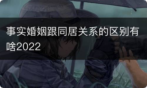 事实婚姻跟同居关系的区别有啥2022