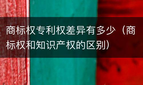 商标权专利权差异有多少（商标权和知识产权的区别）