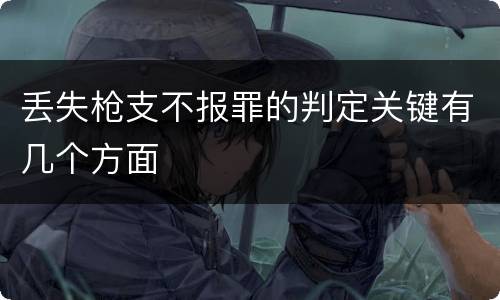 丢失枪支不报罪的判定关键有几个方面