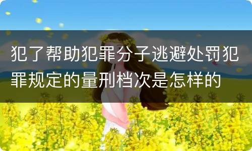 犯了帮助犯罪分子逃避处罚犯罪规定的量刑档次是怎样的