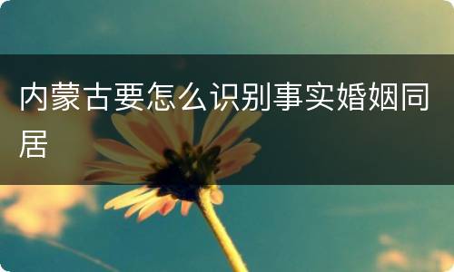 内蒙古要怎么识别事实婚姻同居
