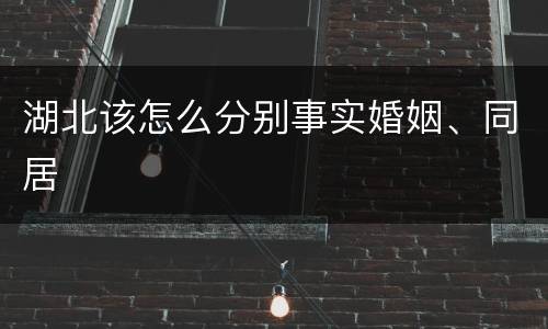 湖北该怎么分别事实婚姻、同居