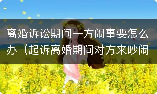 离婚诉讼期间一方闹事要怎么办（起诉离婚期间对方来吵闹怎么办）